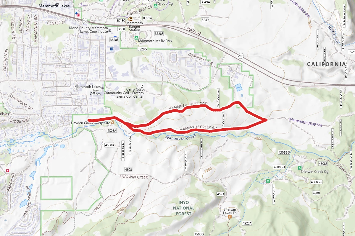 Mammoth Creek Road Trail