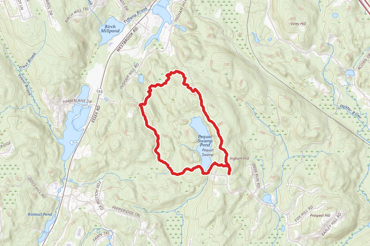 Pequot Swamp Pond Trail