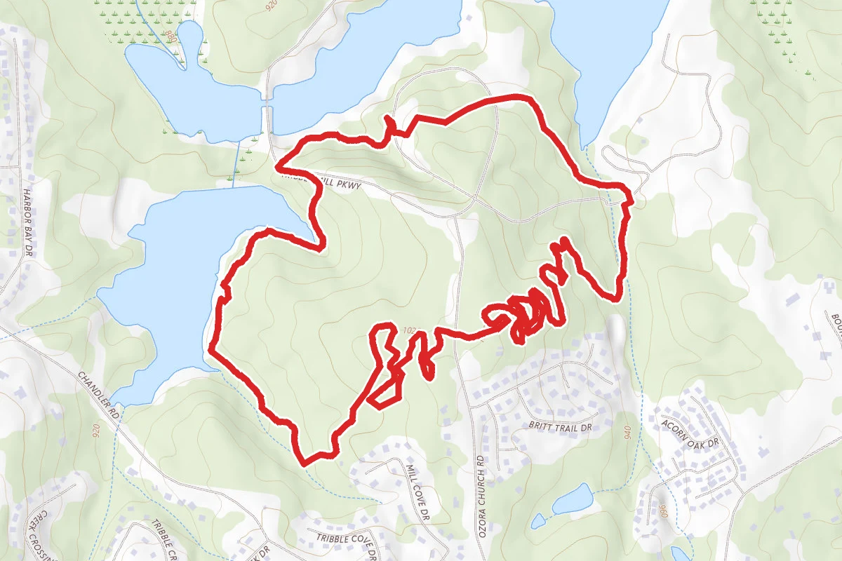 Tribble Mill Park Loop