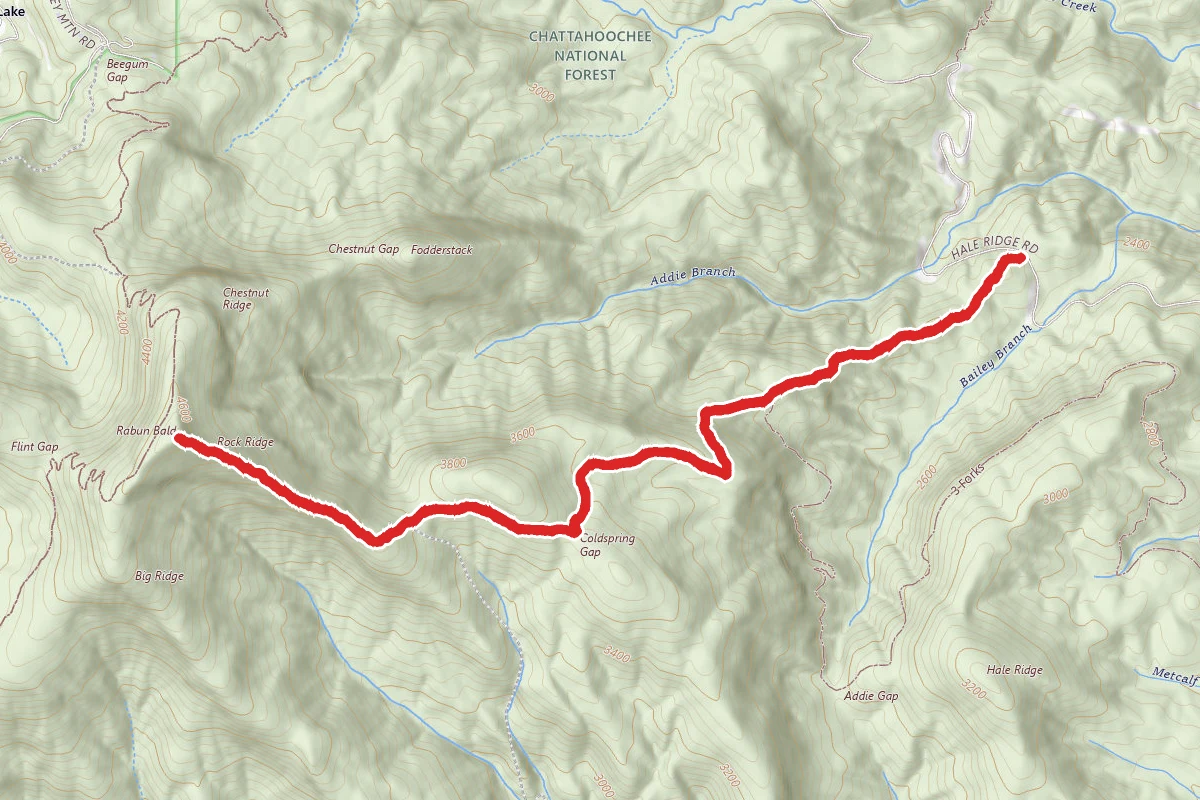 Rabun Bald Trail via Hale Ridge Road