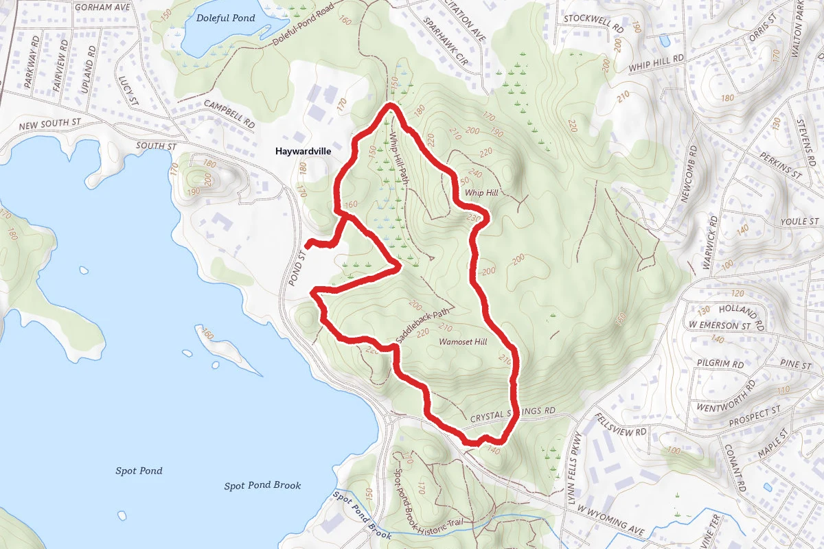 Crystal Springs and Whip Hill Road Loop