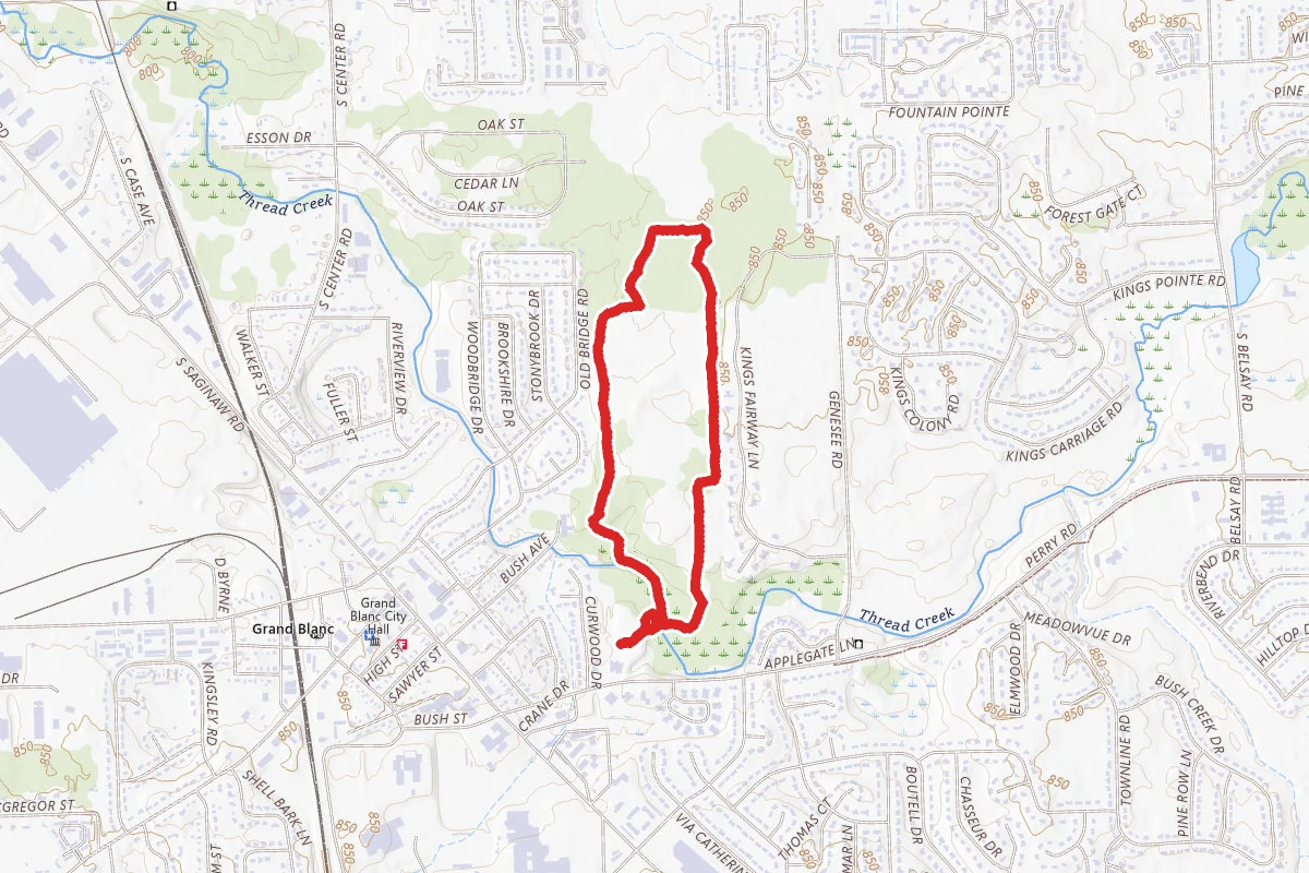 Library Trail
