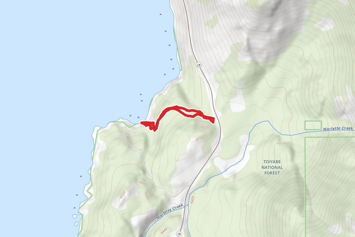 Lodge Beach Trail