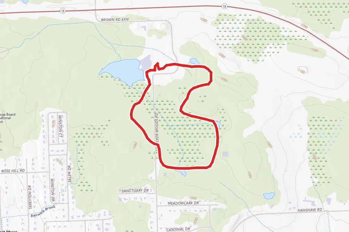 Sapsucker Woods and Wilson Trail