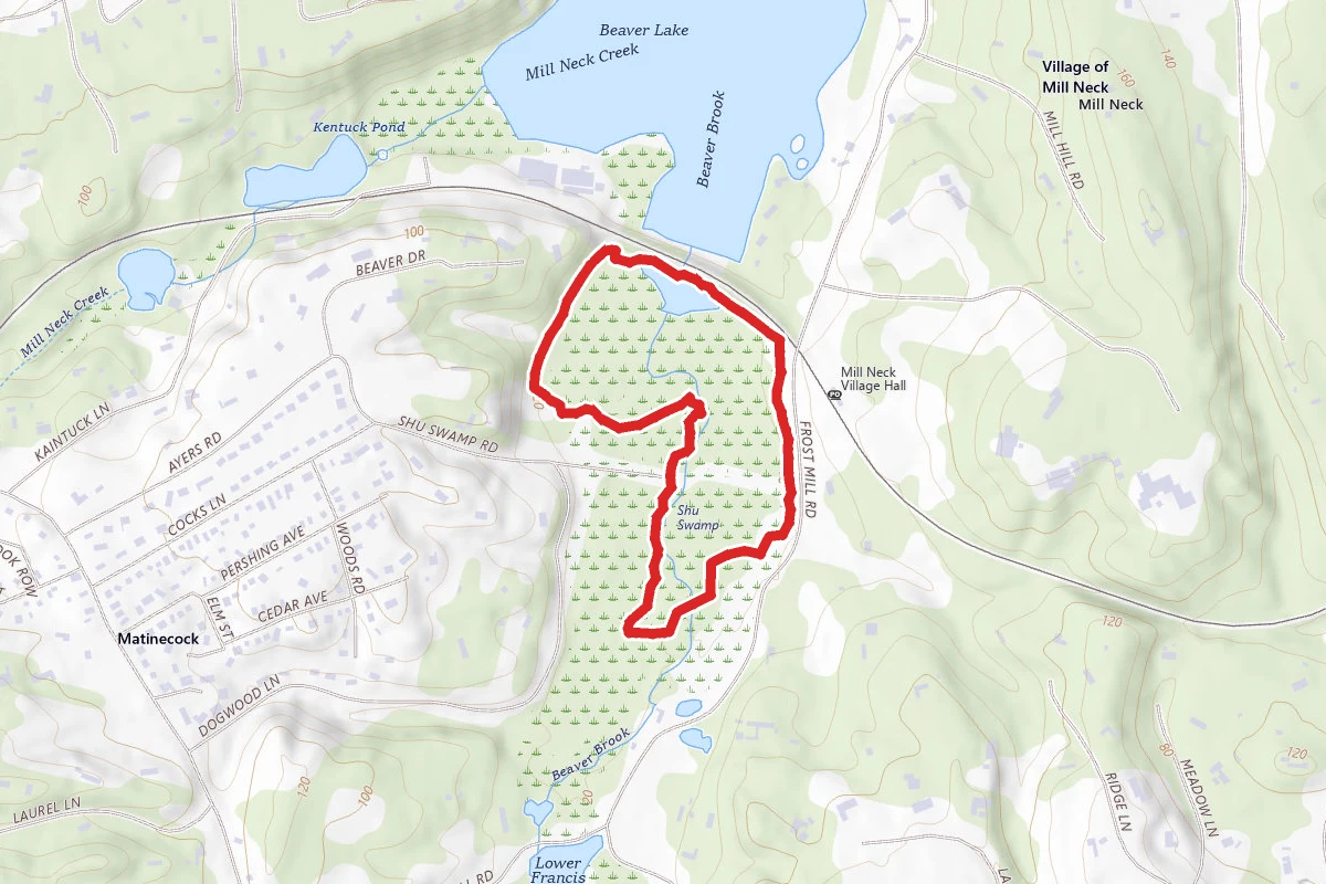 Shu Swamp Preserve Loop Trail