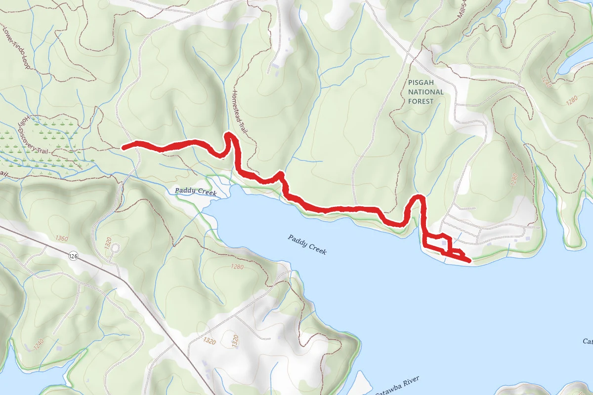 Paddy's Creek Trail