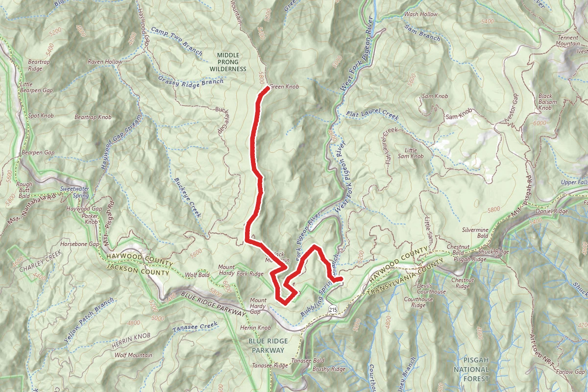 Green Knob Trail from MST