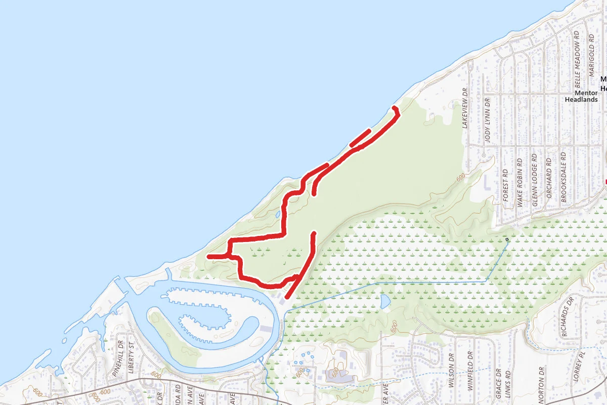 Marina Overlook, Woods, and Lakefront Loop