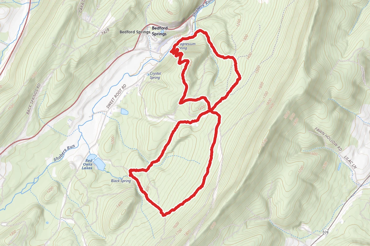 Magnesium Spring and Black Spring Loop