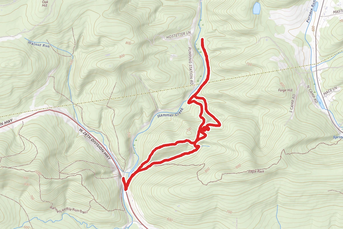 Horseshoe Trail, Explorer Lodge, Spring Trail, and Hammer Creek Road Loop