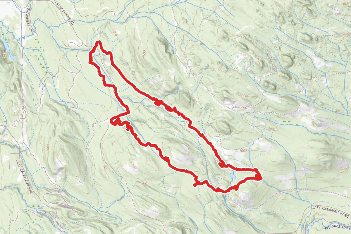 Walker Valley OHV Trail