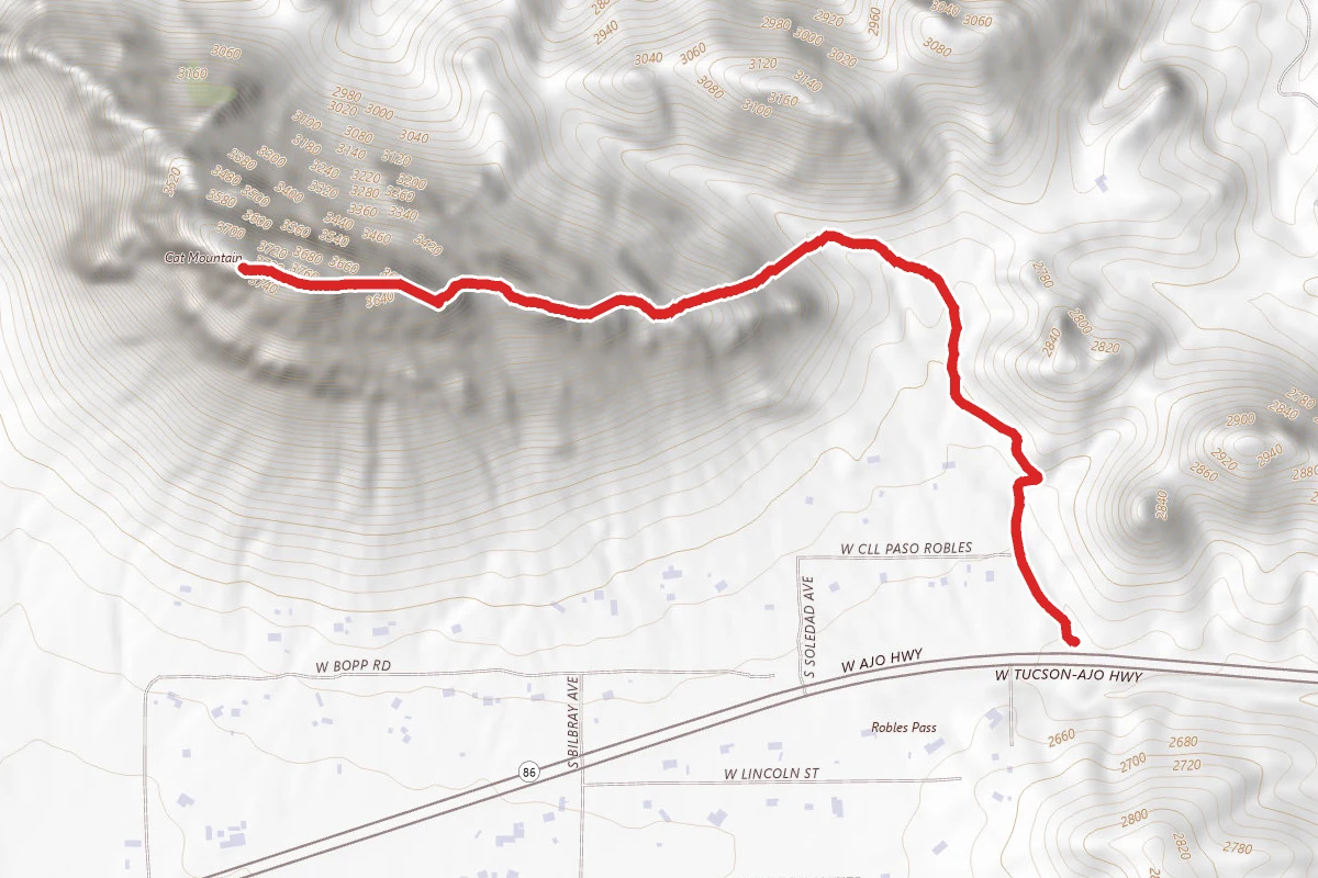 Cat Mountain via Explorer Trail