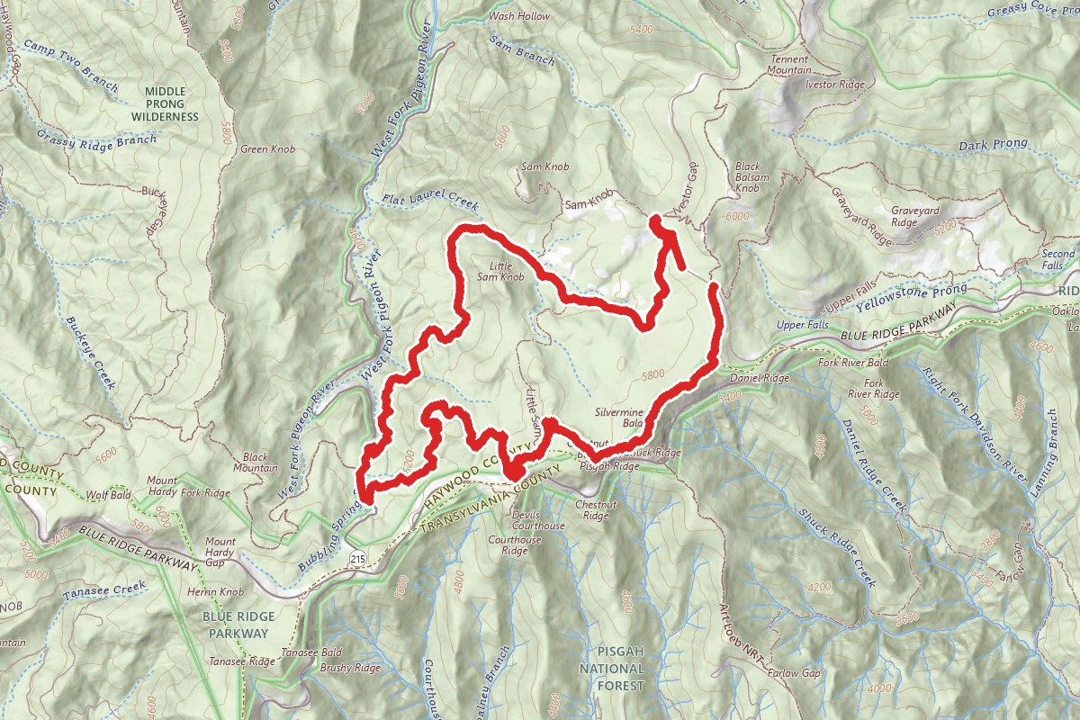 Balsam Range Little Sam Knob Loop Trail