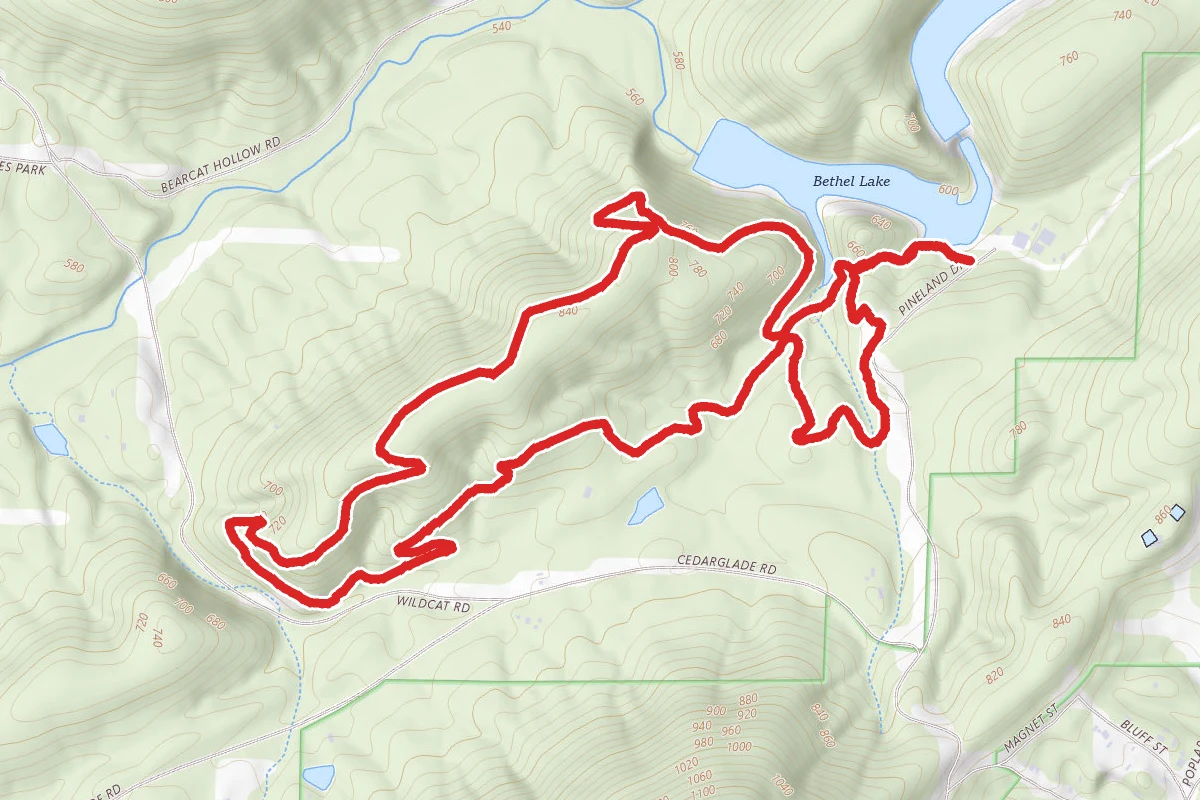 Northwoods Trails Mountain Biking Loop