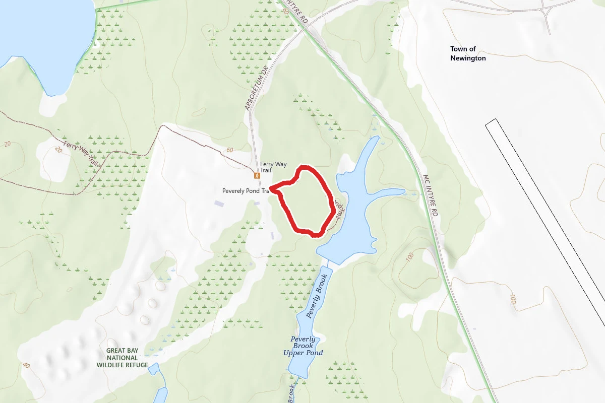 Peverly Pond Loop