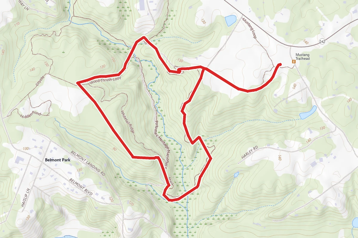 Meadowood Nature Conservatory Loop