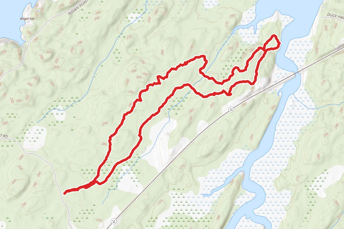 Macsherry Trail Long Loop