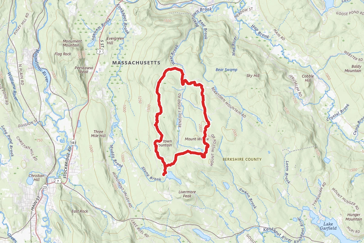 Mt. Wilcox and Beartown Mountain Trail Loop