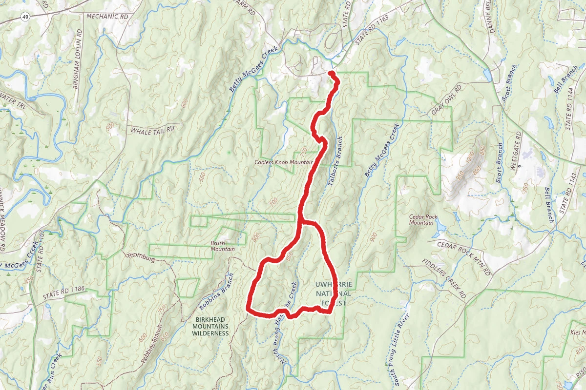 Birkhead Mountain and Camp 3 Trail Loop