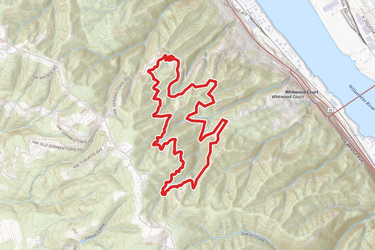 Wildwood Trail and Leif Erickson Drive Trail Loop