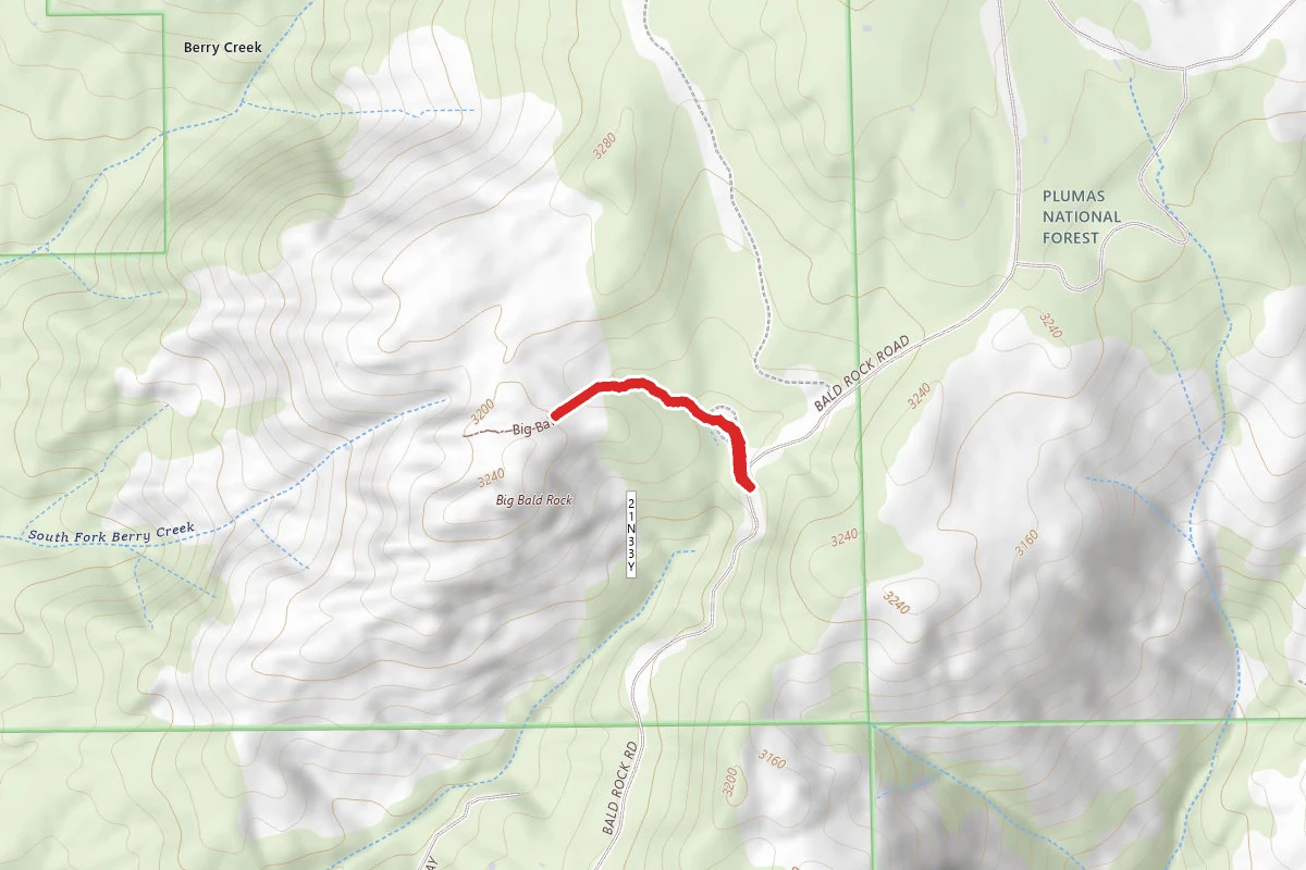 Big Bald Trail