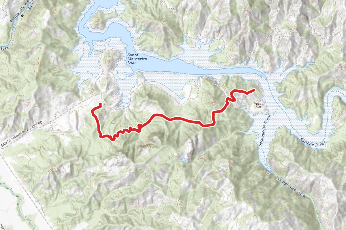 Grey Pine Trail