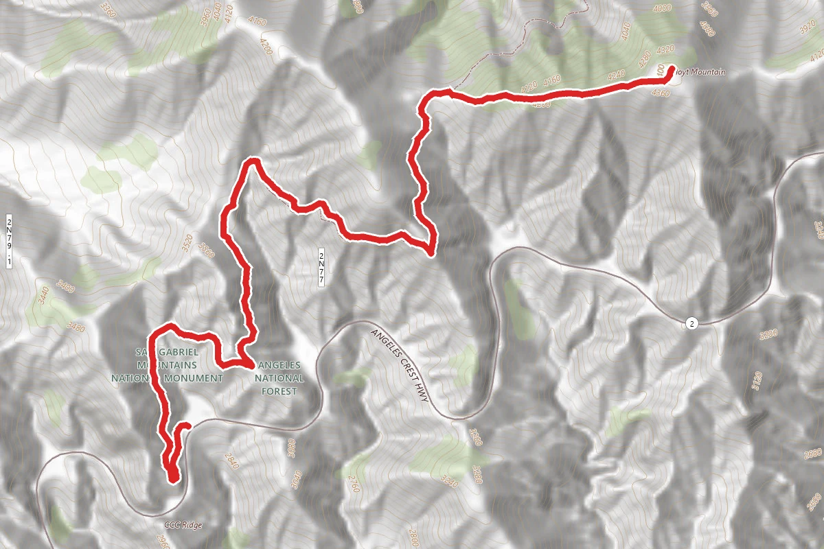Hoyt Mountain via Grizzly Flats Trail
