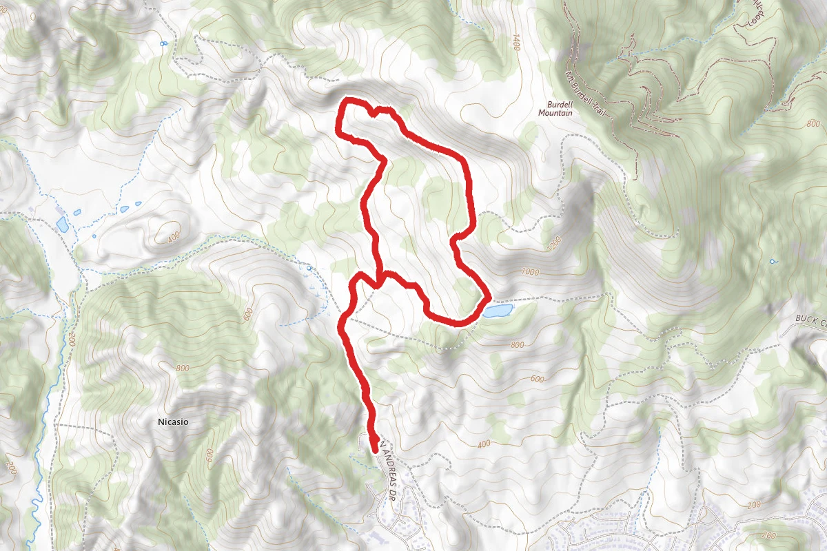 Middle Burdell Fire Road and Deer Camp Fire Road Loop