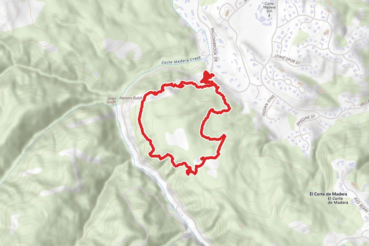 Toyon Trail and Fire Road Loop