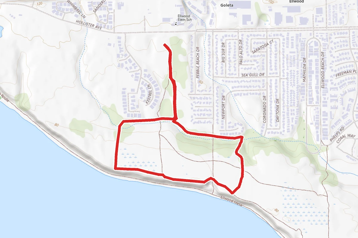 Ellwood Forest Park Loop