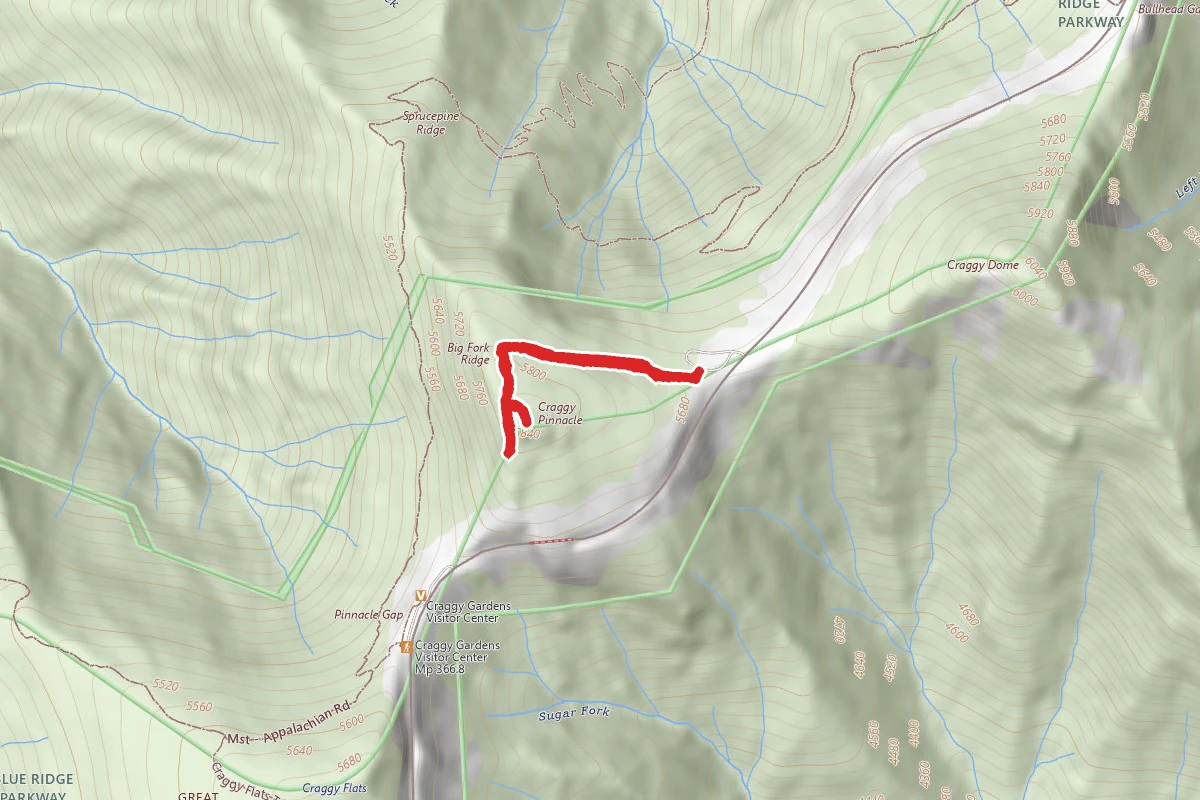 Craggy Pinnacle Trail