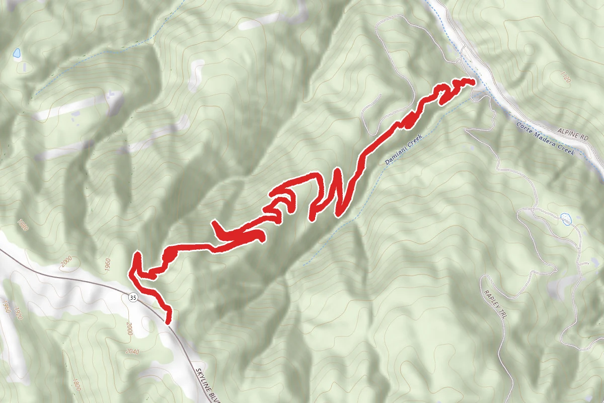 Razorback Ridge Trail