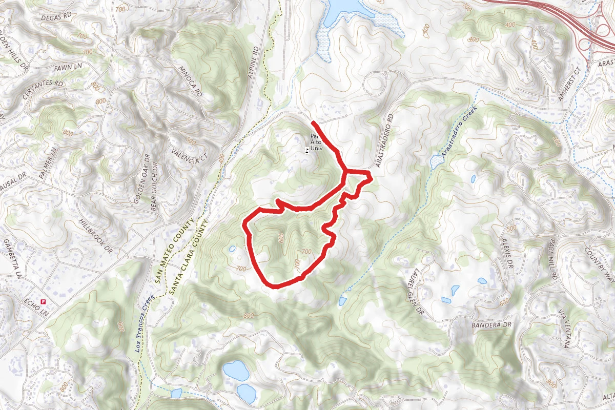 Woodland Star Trail to Meadowlark Trail Loop