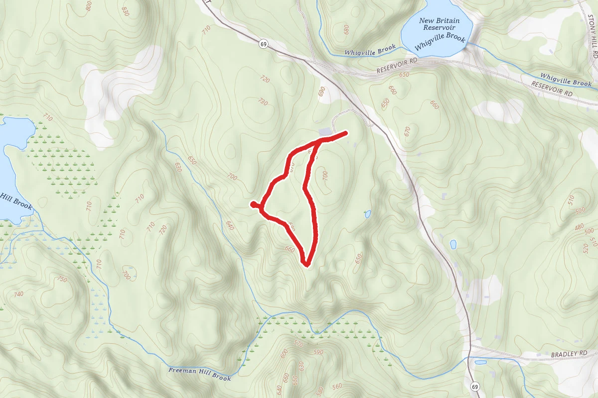 Forest Meadow Trail