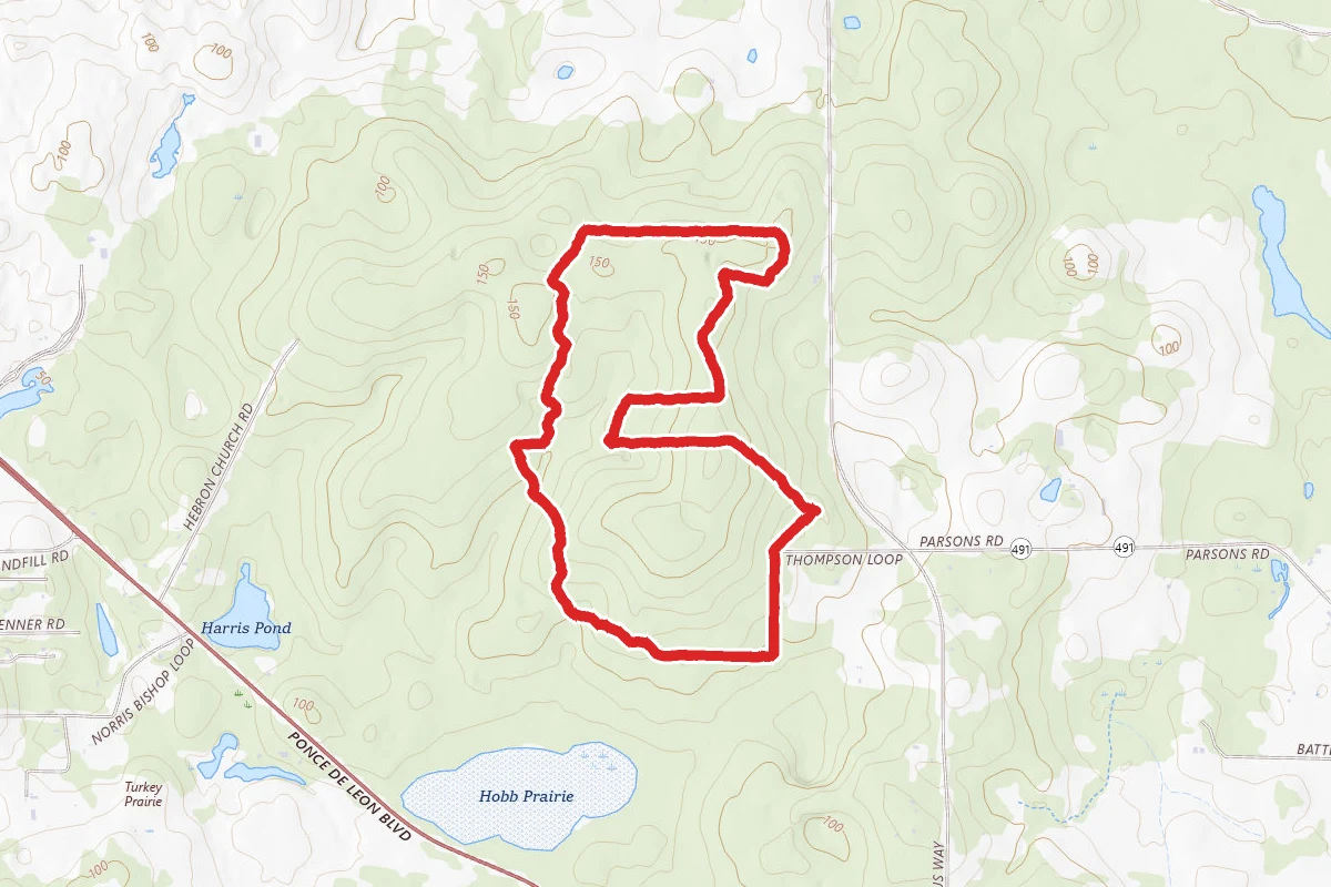 Annutteliga Hammock Trailhead Loop