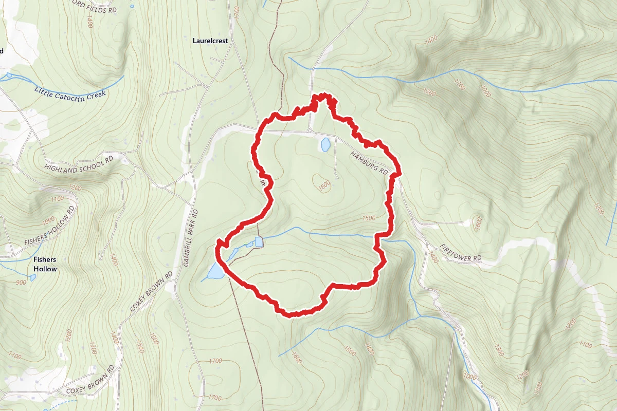 VW and Knuckleback Loop