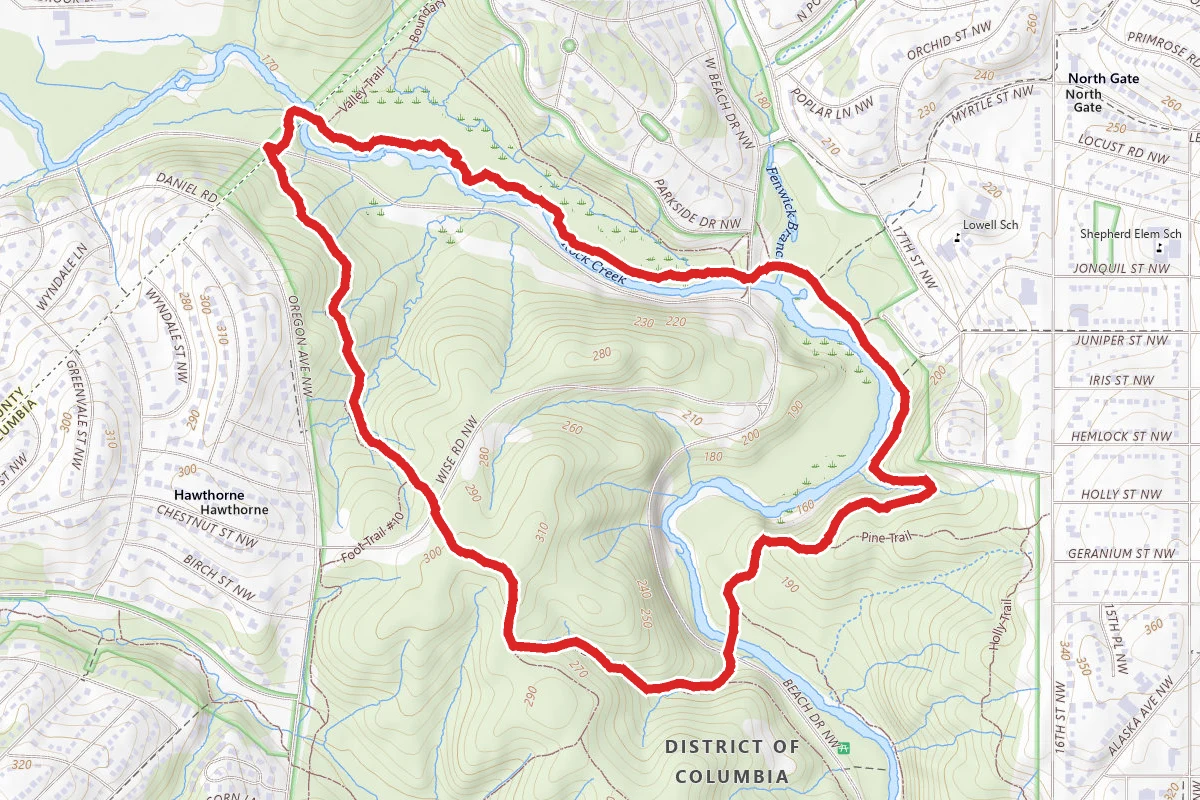 Muddy Trail, Valley Trail, and Western Ridge Trail