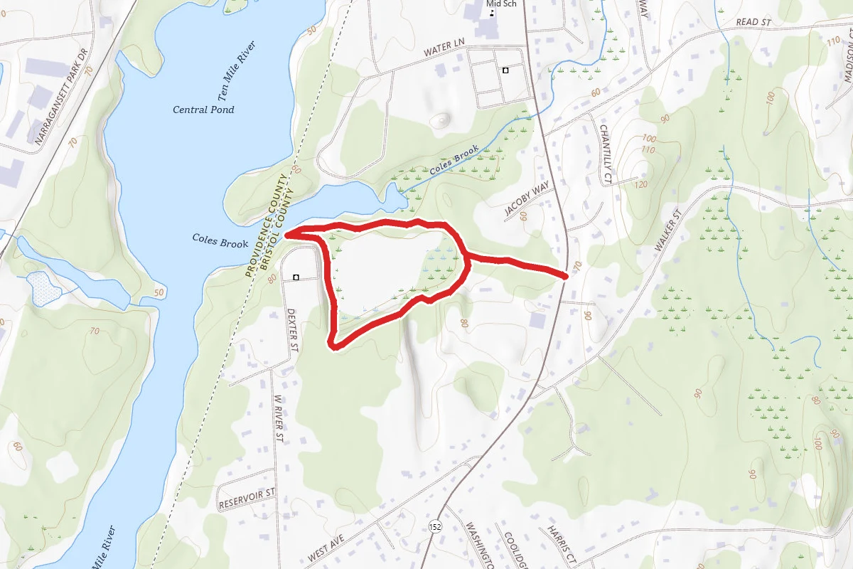 Gammino Pond Loop Trail