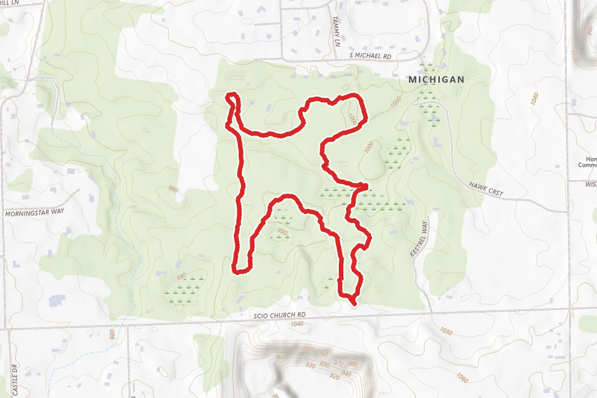 Scio Forest Loop