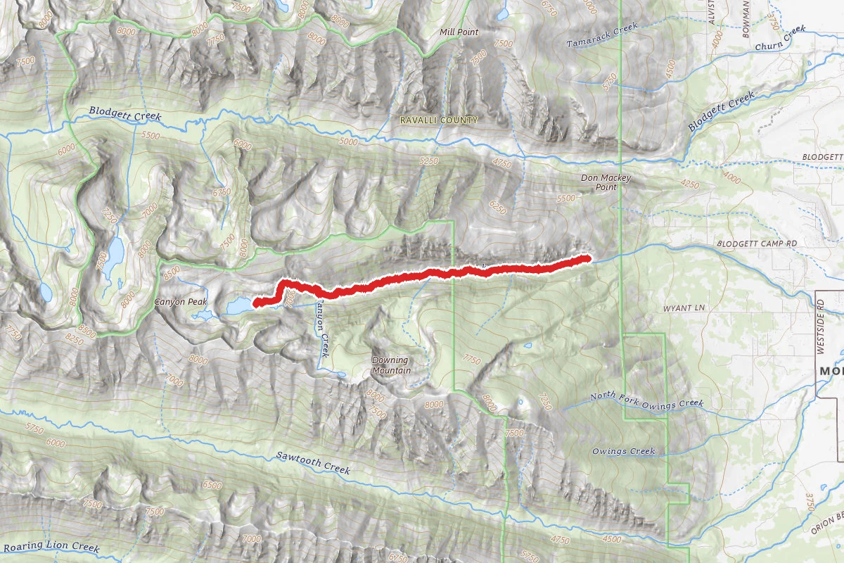 Canyon Creek Trail
