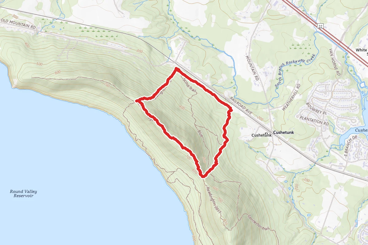 Cushetunk White Trail Loop