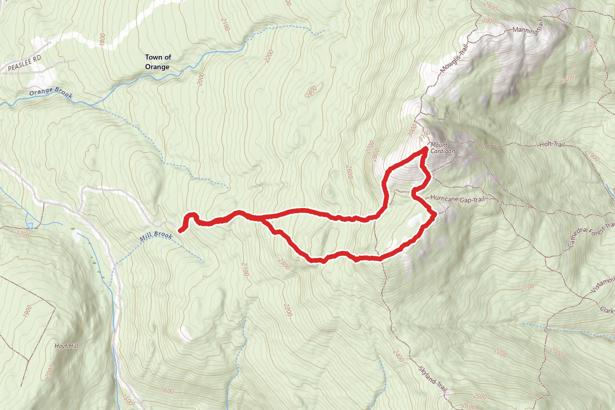 Mount Cardigan Loop Trail