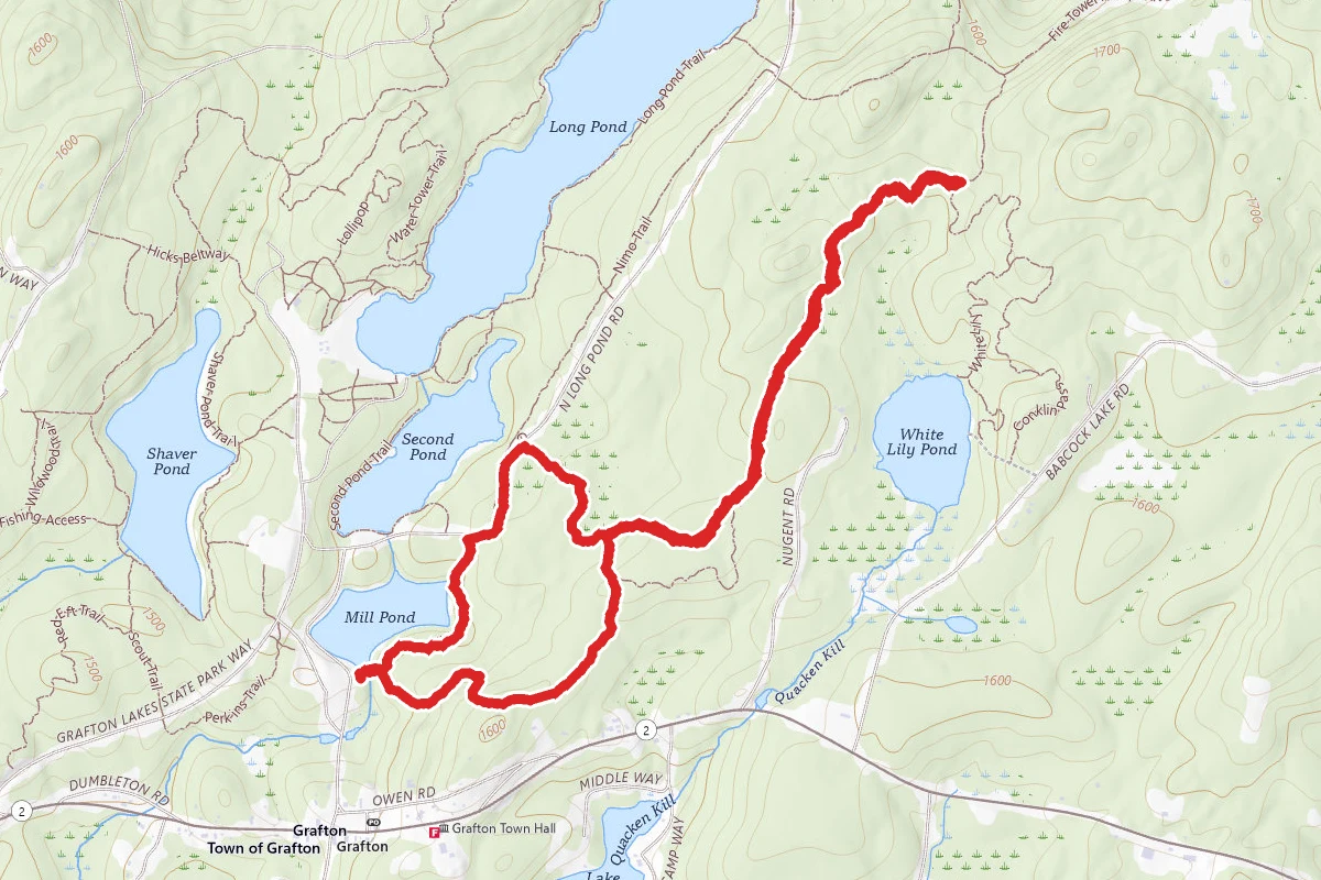 Spruce Bog Trail Loop