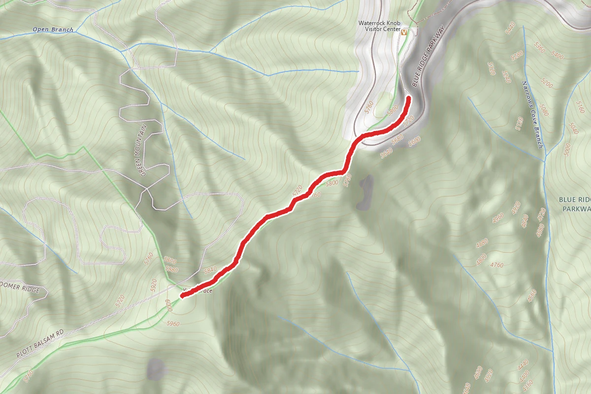 Yellow Face Trail