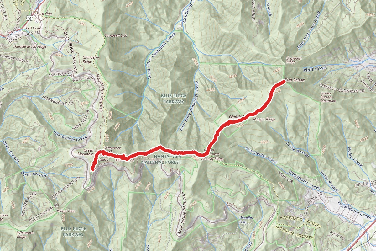 Plott Balsam via Waterrock Knob Trail