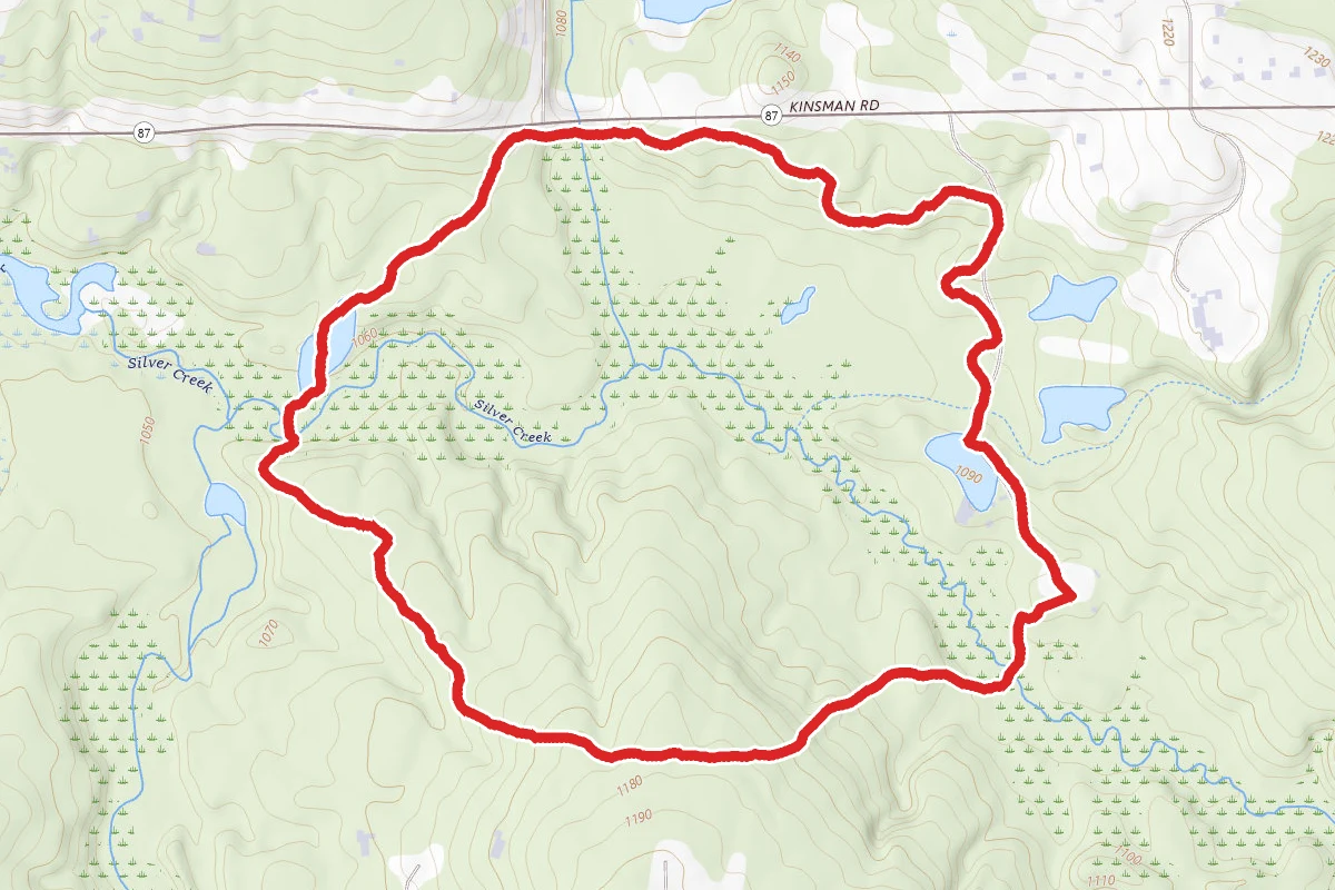 Pioneer Bridle Loop