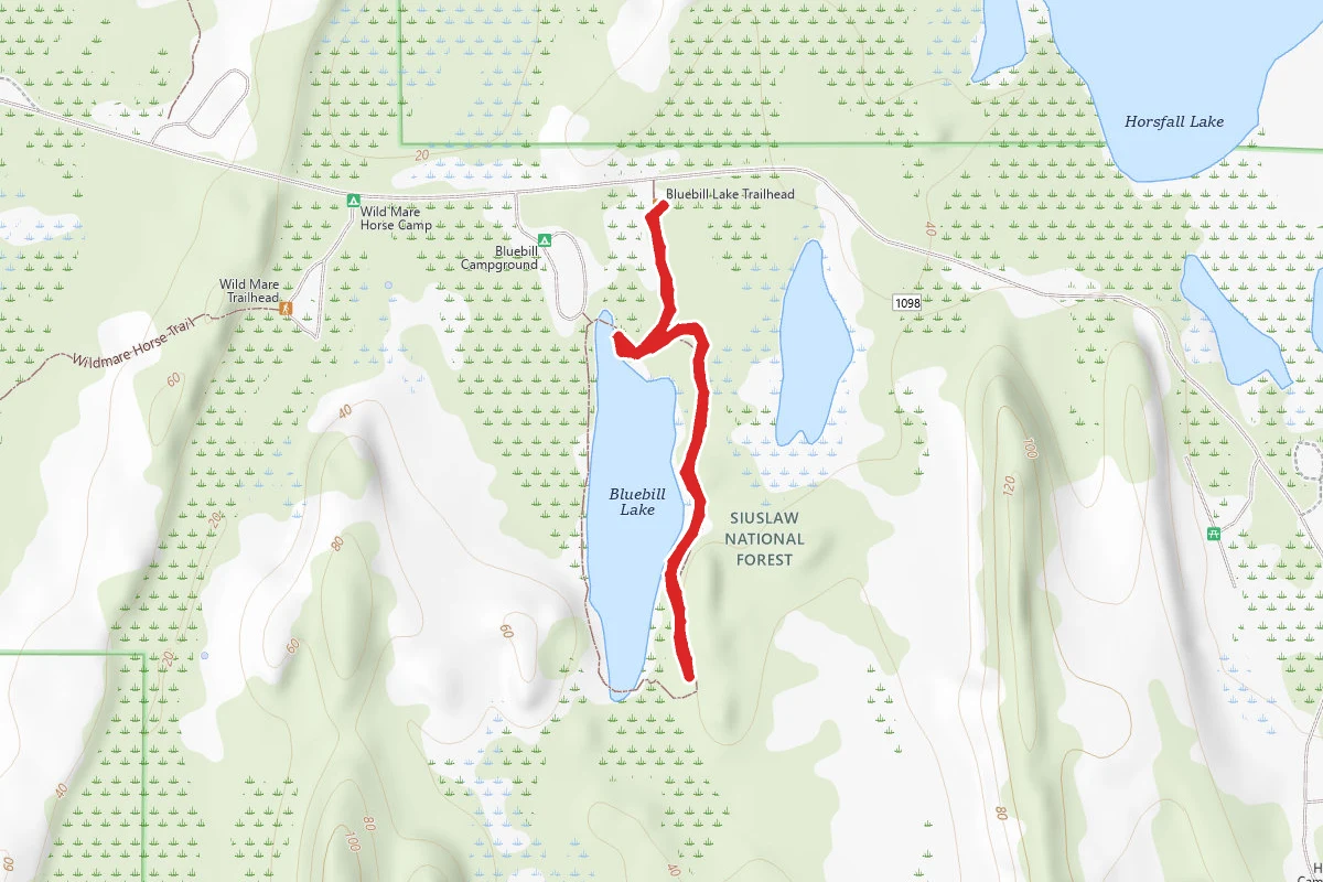Bluebill Lake Trail