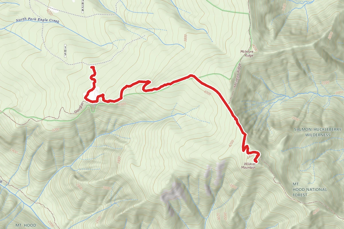 Wildcat Mountain Trail #781F via Douglas Trail #781