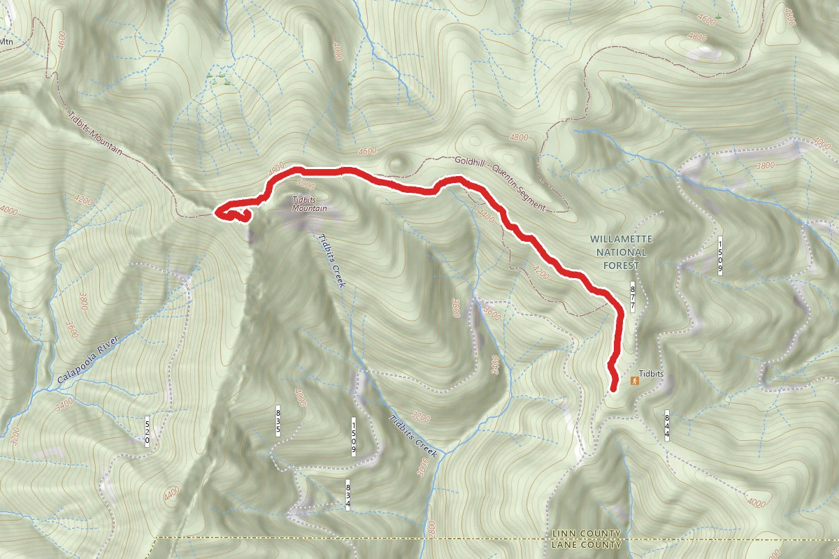 Tidbits Mountain Southern Approach Trail