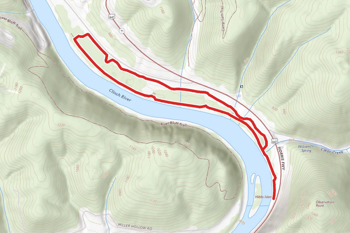 Songbird Trail